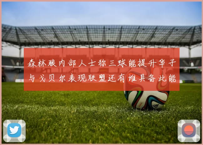 森林狼内部人士称三球能提升华子与戈贝尔表现联盟还有谁具备此能力